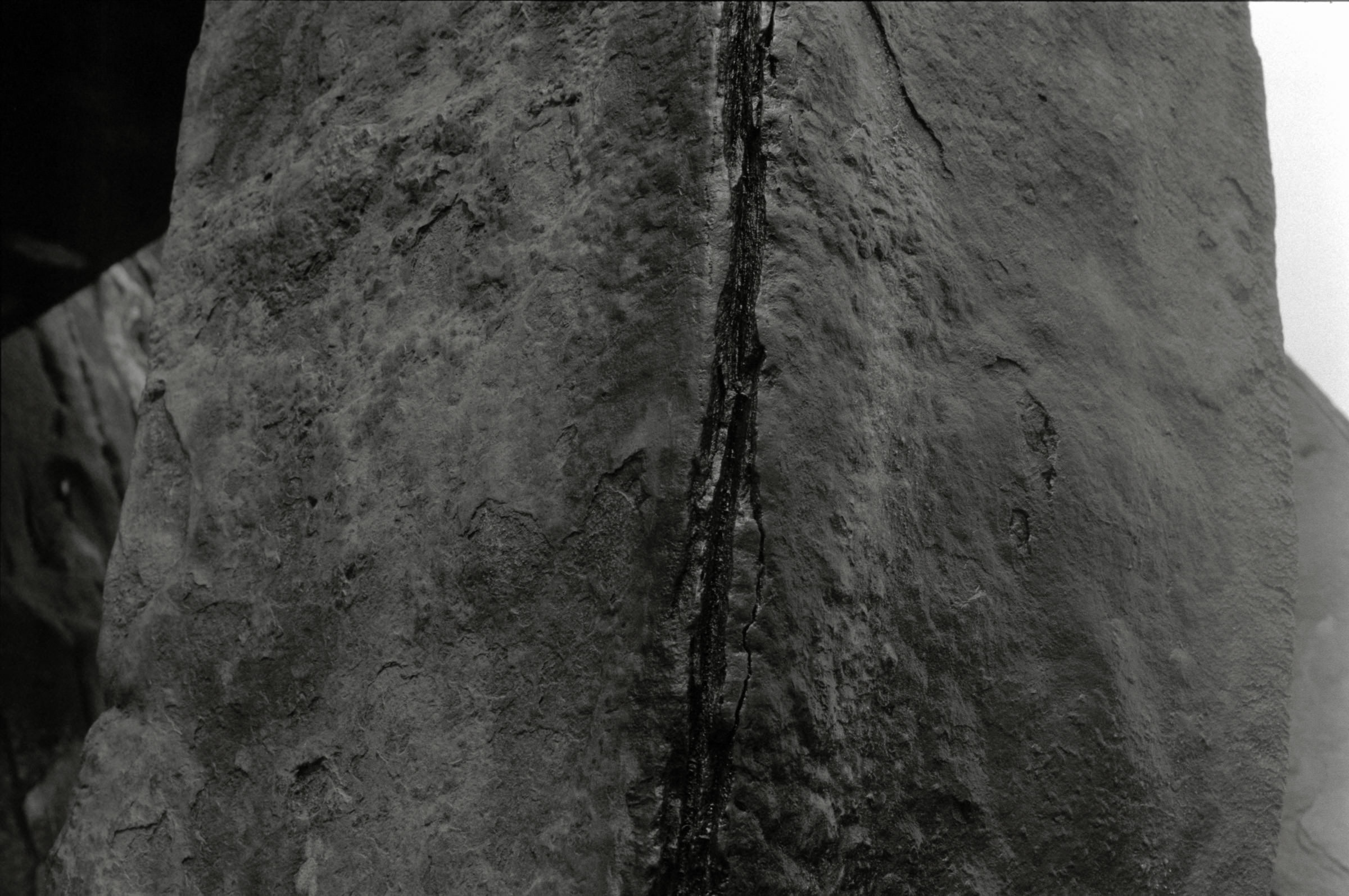 AHP F1995 05 012 sc240827 img27 NLP